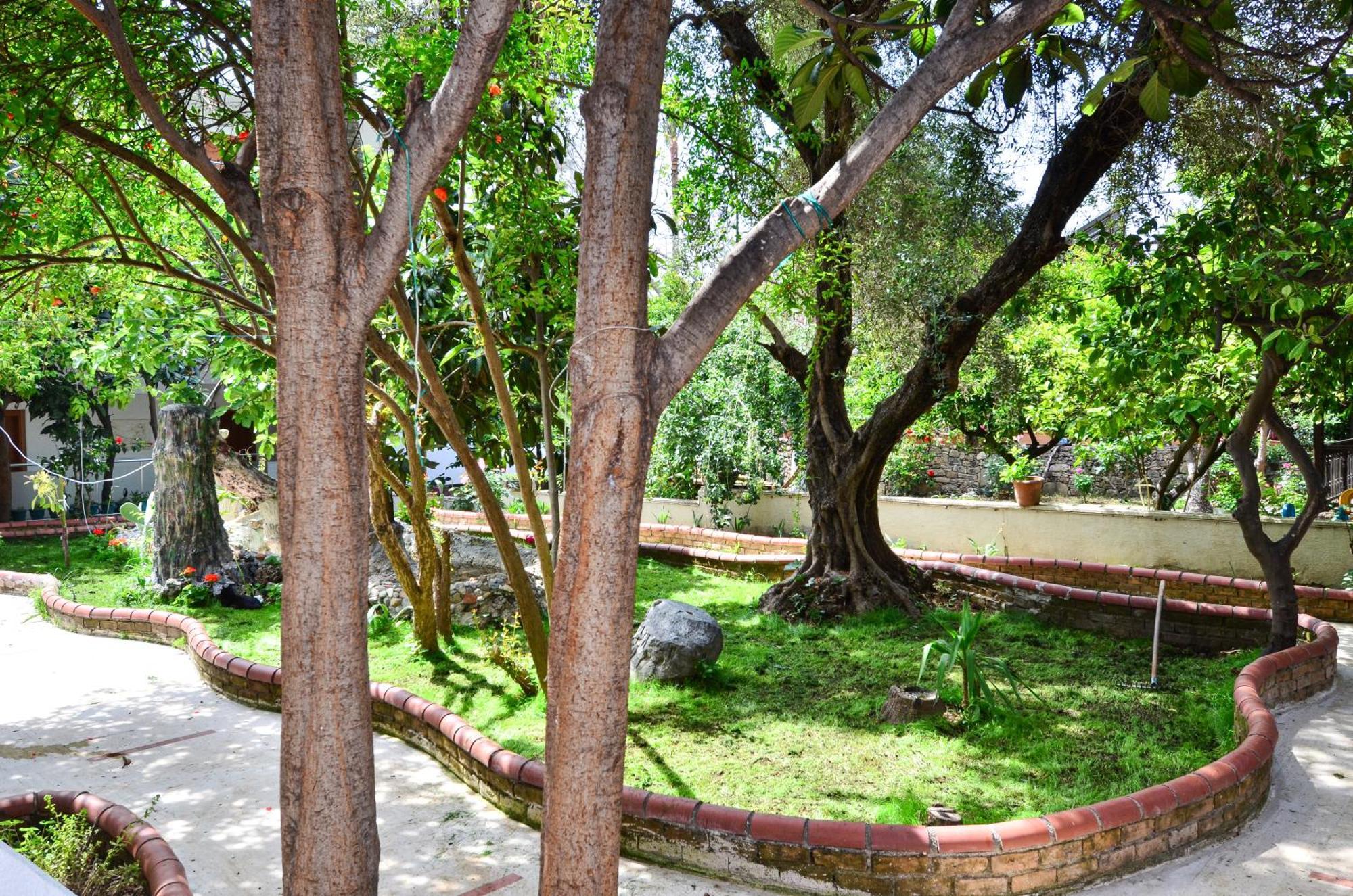 Tropic Beach Club Side Hotel Luaran gambar